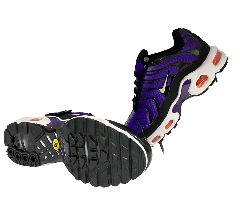 Tênis Nike Air Max Plus TN 'Purple'